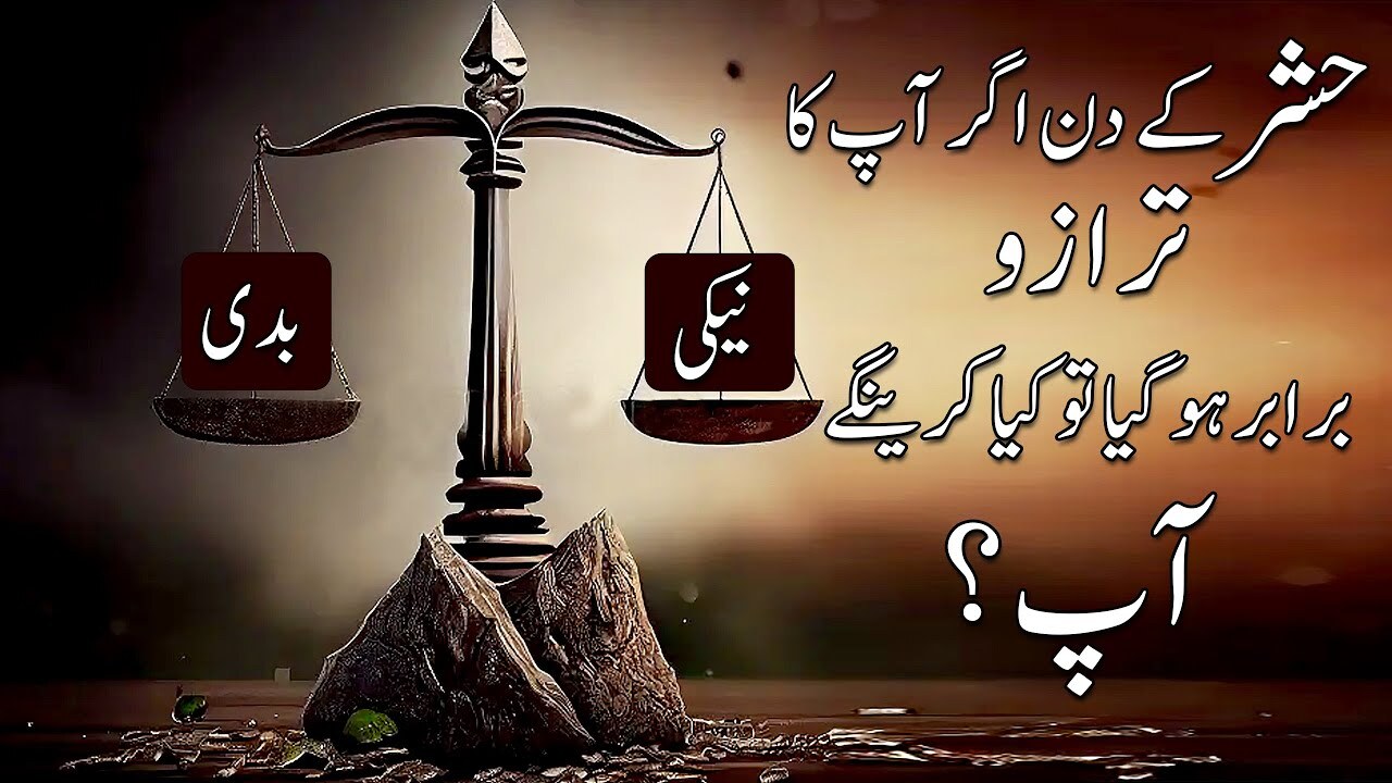 Kam Investment Aur Ziada Profit 🤩 !
